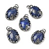 Dyed Natural Lapis Lazuli Pendants G-Z101-02AS-09-2