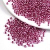 6/0 Glass Seed Beads X-SEED-A015-4mm-2209-1