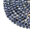 Natural Blue Spot Jasper Beads Strands G-P573-A45-01-3