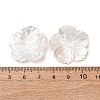 Natural White Shell Carved Cabochons SHEL-G024-05-3