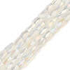 Electroplate Glass Beads Strands GLAA-P068-AB06-1