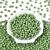 Opaque Colours Glass Seed Beads SEED-N007-34F-2