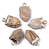 Natural Picture Jasper Pointed Pendants G-N326-34I-1