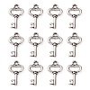 Gifts Ideas for Her Tibetan Style Alloy Charms LF11975Y-1
