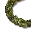 Natural Peridot Beads Strands G-I389-A27-4