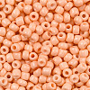 8/0 Baking Paint Glass Seed Beads SEED-R051-07B-06-2