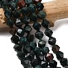 Natural Bloodstone/Heliotrope Beads Strands G-Z119-A16-03-1