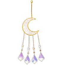 Hanging Moon Sun Catcher with Teardrop Glass Prisms for Windows HJEW-PH01733-02