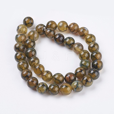 Natural Dragon Veins Agate Beads Strands G-G515-10mm-02A-1