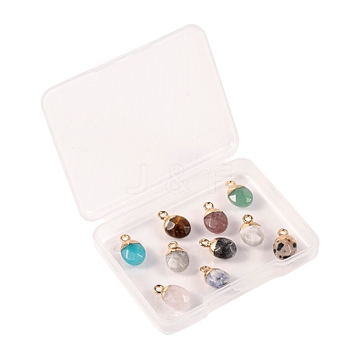 10Pcs 10 Style Natural Gemstone Charms G-LS0002-15-1
