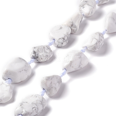 Natural Howlite Beads Strands G-B024-07-1