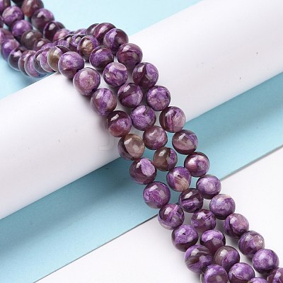 Natural Lepidolite/Purple Mica Stone Beads Strands G-G925-03C-1