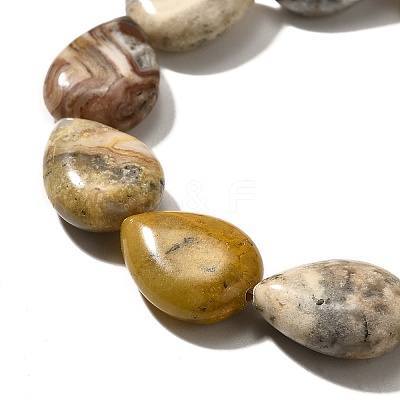 Natural Crazy Agate Beads Strands G-P561-B11-01-1