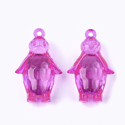 Transparent Acrylic Pendants TACR-S133-006-1