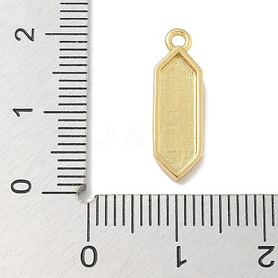 Rack Plating Brass Pendants KK-L224-044G-1