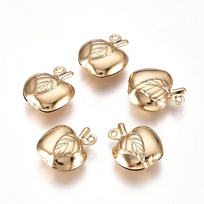 304 Stainless Steel Hollow Charms LS-STAS-I138-17G-1