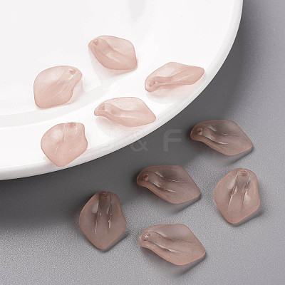 Transparent Frosted Acrylic Pendants MACR-S371-03A-763-1