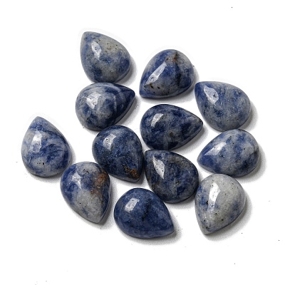 Natural Blue Spot Jasper Cabochons G-Q173-02C-18-1