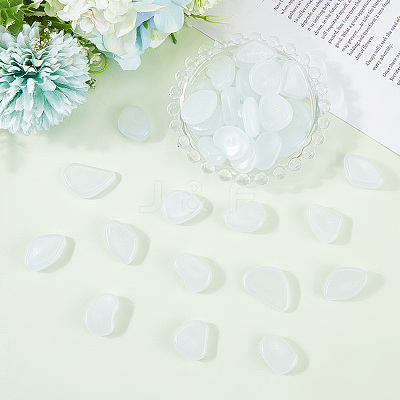 1 Set Resin Luminous Glow in the Dark Pebbles Stone DJEW-CN0001-40C-1
