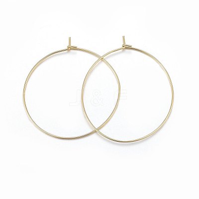 316 Surgical Stainless Steel Hoop Earrings X-STAS-P210-26G-01-1