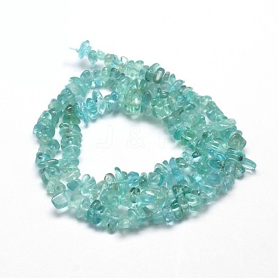 Natural Apatite Chip Beads Strands G-E271-80-1