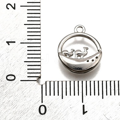 Brass Micro Pave Clear Cubic Zirconia Pendants LS-KK-G530-01B-P-1