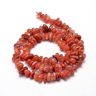 Dyed Natural Carnelian Chip Beads Strands G-E271-74-1
