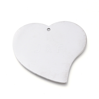 Tarnish Resistant 304 Stainless Steel Pendants STAS-L238-100A-P-1