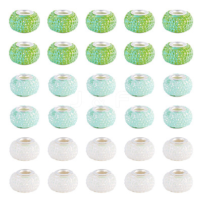 100Pcs Large Hole Resin European Beads OPDL-TA0001-06B-1