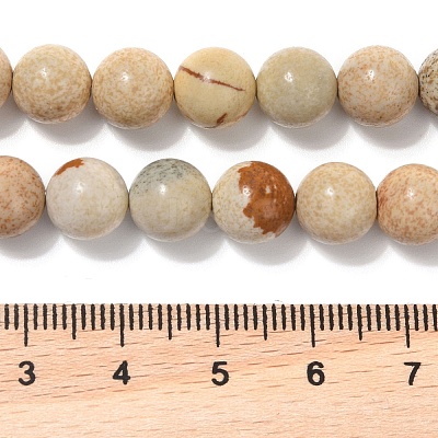 Natural Picture Jasper Beads Strands G-G184-A03-01-1