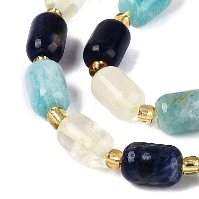 Natural Sodalite & Flower Amazonite & Lemon Quartz Beads Strands G-Q614-02A-03-1