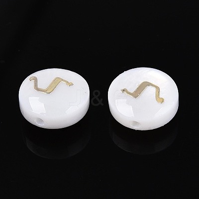 Natural Freshwater Shell Beads BSHE-ZX007-03G-1