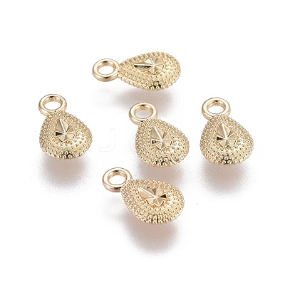 Alloy Charms PALLOY-F241-04-1
