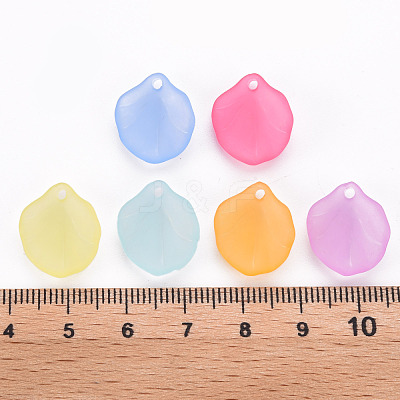 Transparent Frosted Acrylic Pendants MACR-S371-02A-1