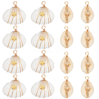 20Pcs 2 Styles Natural Cowrie Shell/Spiral Shell Copper Wire Wrapped Pendants FIND-SC0014-25-1