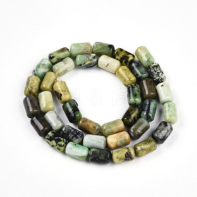 Natural Serpentine Beads Strands G-N346-01B-04-1
