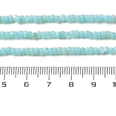 Natural Freshwater Shell Beads Strands SHEL-P017-01B-03-1