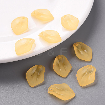 Transparent Frosted Acrylic Pendants MACR-S371-03A-719-1