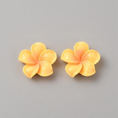 Opaque Resin Cabochons RESI-WH0036-10B-1