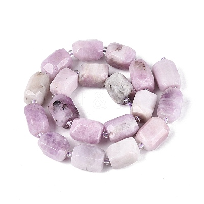 Natural Kunzite Beads Strands G-N362-07A-08-1