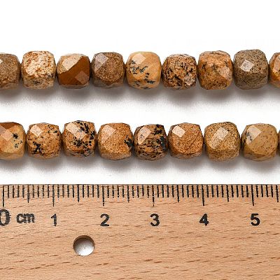 Natural Picture Jasper Beads Strands G-H078-C14-01-1