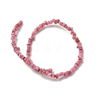 Natural Freshwater Shell Beads SHEL-B003-01K-1