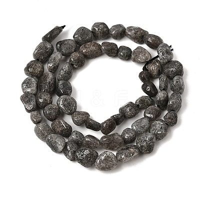 Natura Black Rutilated Quartz Beads Strands GG-CBAC13F-A02-02-1