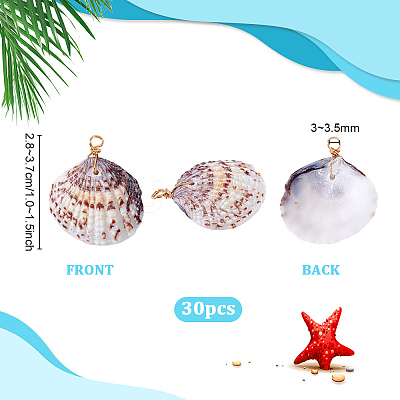30Pcs Natural Shell Pendants PALLOY-PH01839-1