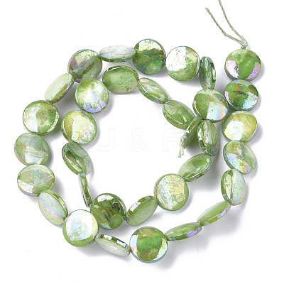 Freshwater Shell Beads Strands X-SHEL-S274-52B-1