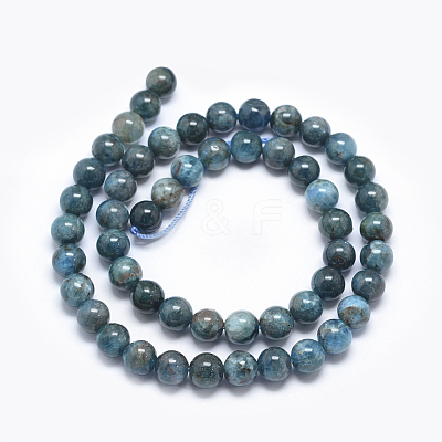 Natural Apatite Beads X-G-E481-05-6mm-1