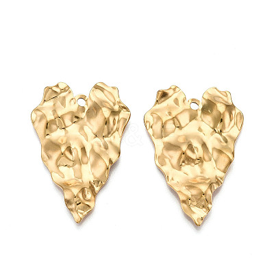 304 Stainless Steel Pendants STAS-N107-10G-1