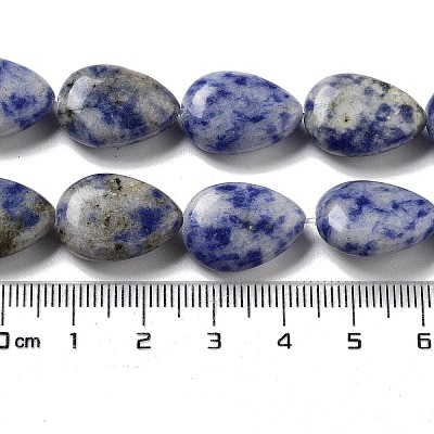 Natural Blue Spot Jasper Beads Strands G-P528-L17-01-1
