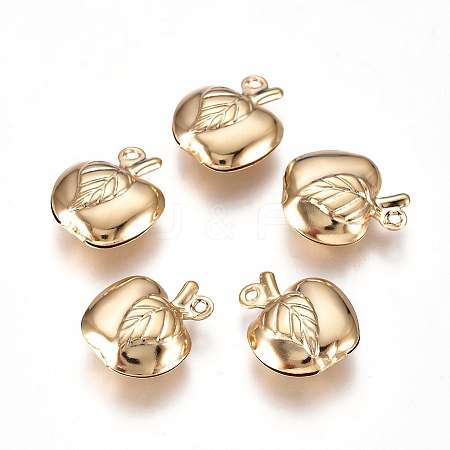 304 Stainless Steel Hollow Charms LS-STAS-I138-17G-1