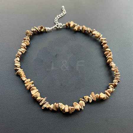 Natural Picture Jasper Chip Beaded Necklaces for Women IW6789-31-1